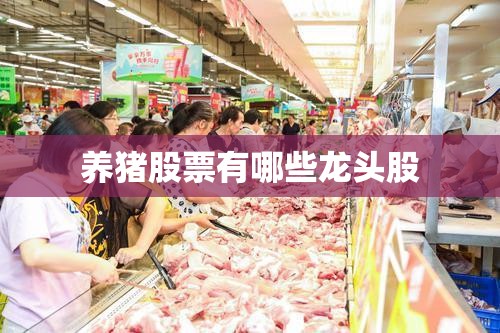 370830是哪里的身份证