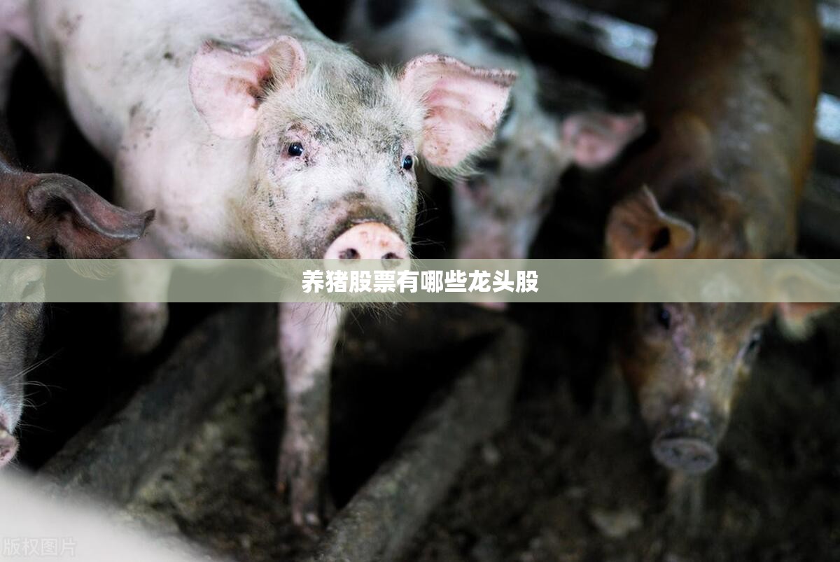 养猪股票有哪些龙头股