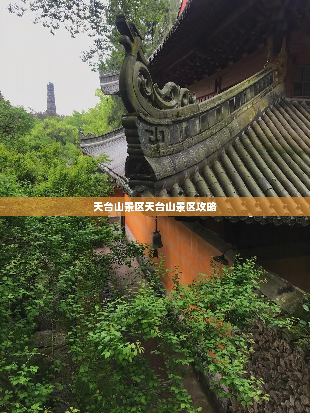 宝马gt6图片（宝马gt6系图片和费用）