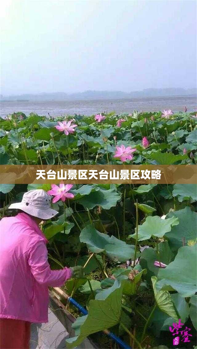 天台山景区天台山景区攻略 天台山景区天台山景区攻略