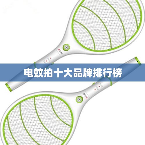 电蚊拍十大品牌排行榜