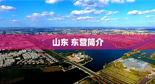 20号到27号的天气预报表（20号到26号的天气预报）