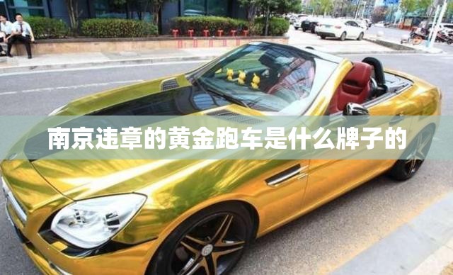 南京违章的黄金跑车是什么牌子的