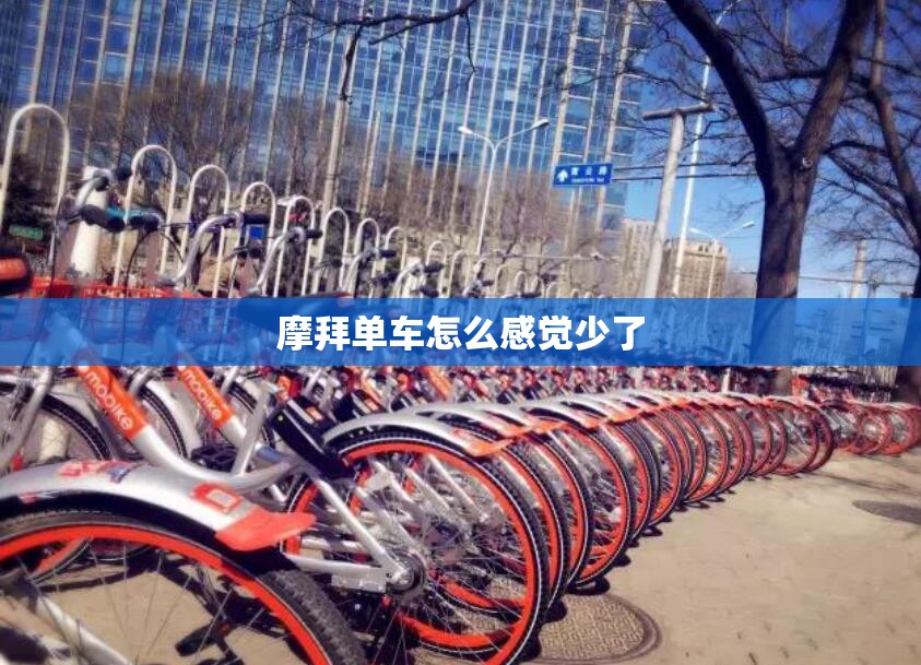 水泥型号及费用（水泥各种型号）