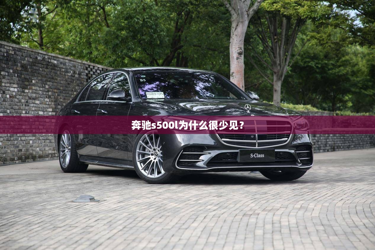 奔驰s500l为什么很少见？