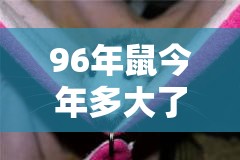 96年鼠今年多大了