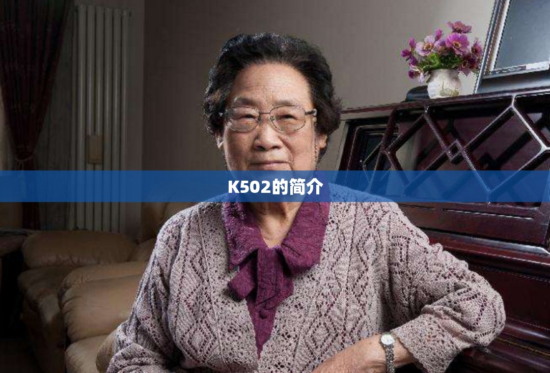 K502的简介 K502的简介