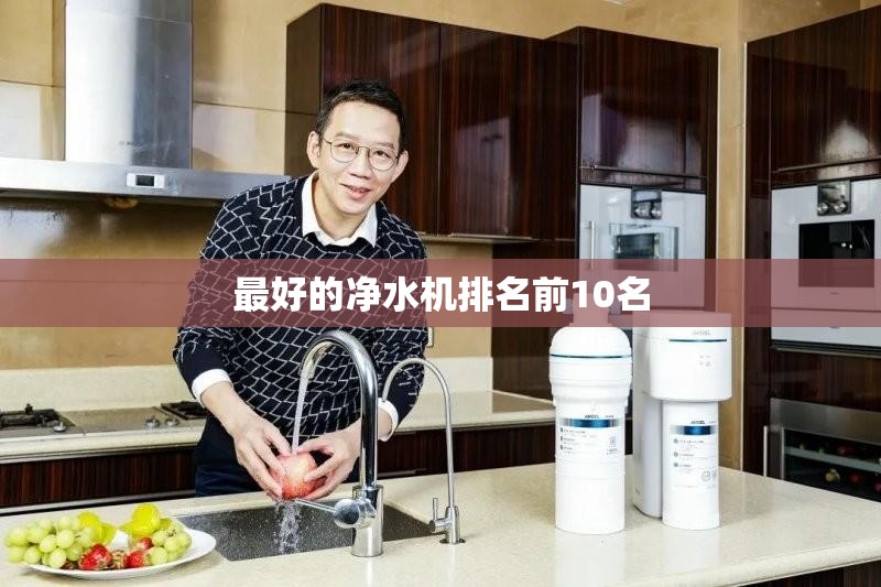 宁夏中银绒业股份有限公司的历史沿革