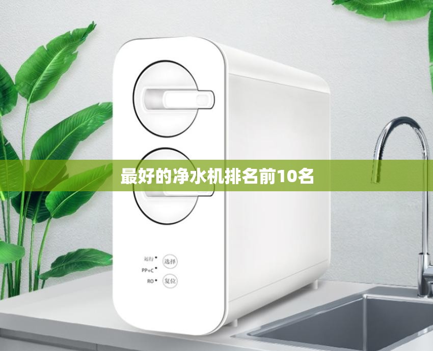 最好的净水机排名前10名