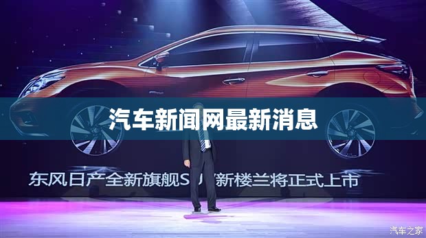 扩音器的使用方法视频（扩音器教程）