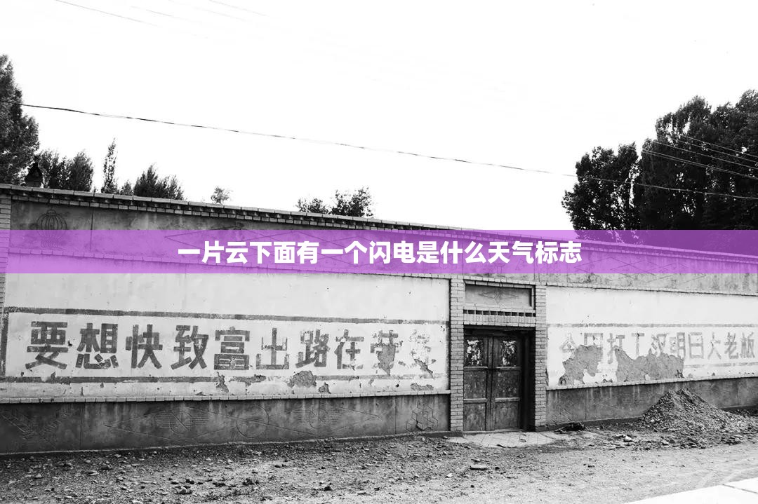 川崎h2摩托车费用及图片/川崎h2摩托车费用及图片大全