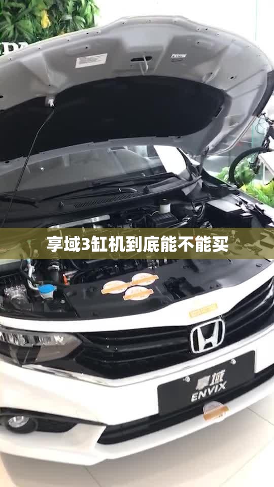 老V3菱悦与三菱蓝瑟的区别？