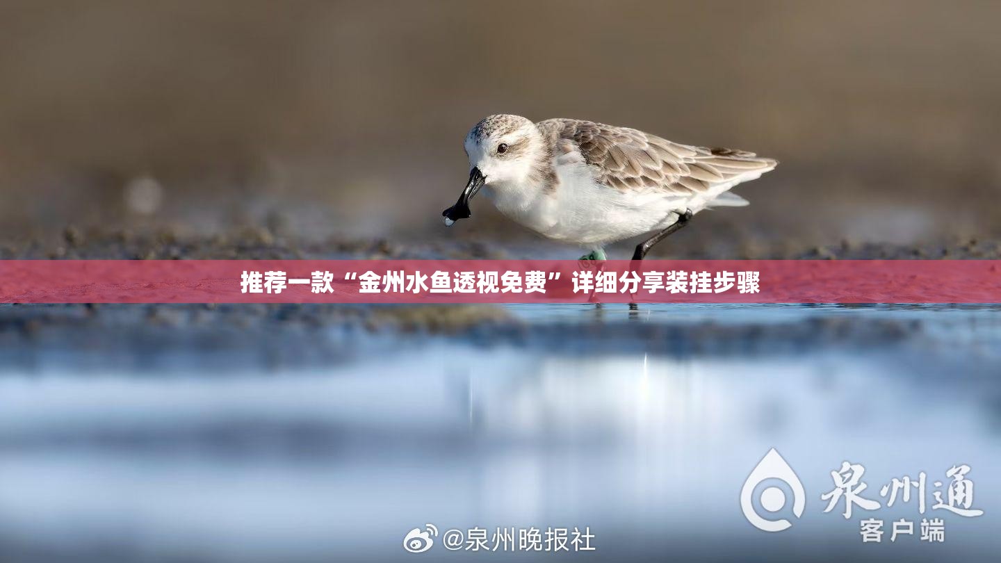 推荐一款“金州水鱼透视免费	”详细分享装挂步骤