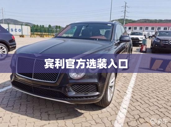 宾利官方选装入口