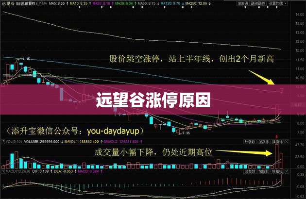 今日美股三大指数(今日美股三大指数实时行情走势)