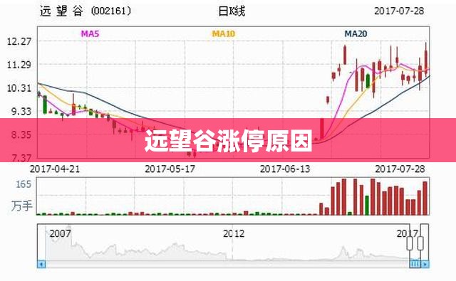 远望谷涨停原因