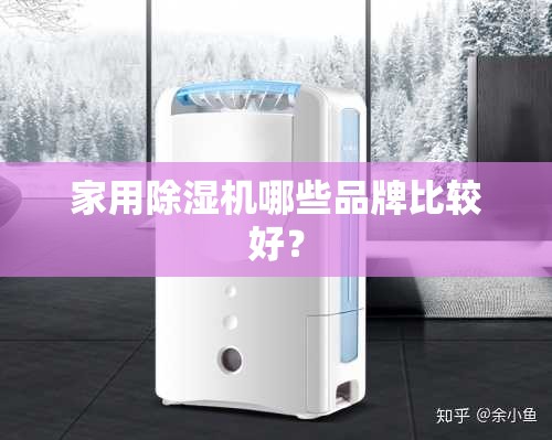 家用除湿机哪些品牌比较好？