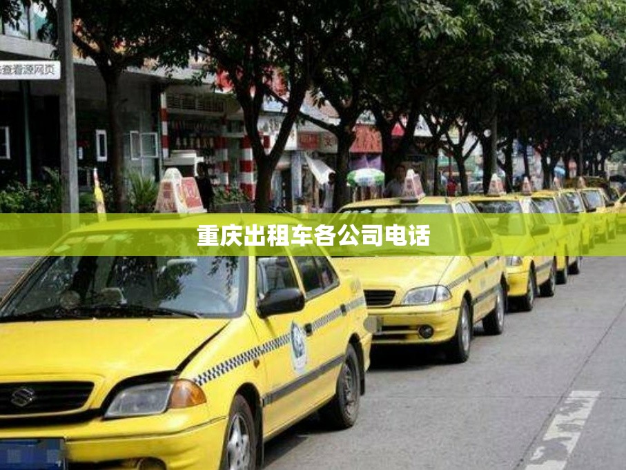 迈开腿尝尝你的草莓是什么感觉的简单介绍