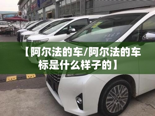 万能开挂辅助“全民十三水输赢规律”2026开挂教程步骤
