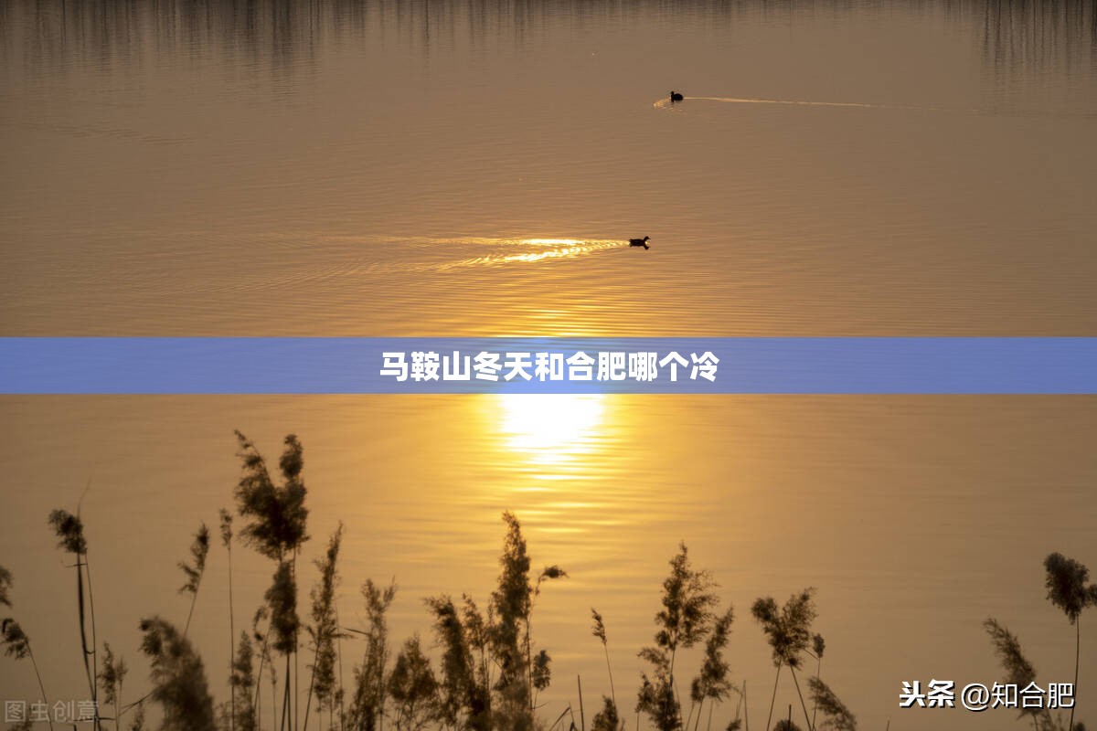 st飞马世界股吧/002210飞马世界股吧