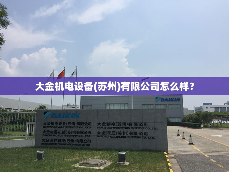 玩家必备攻略!大头大菠萝到底能开挂吗!辅助神器插件下载