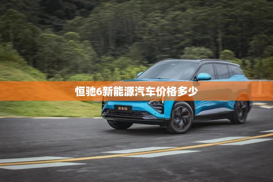 恒驰6新能源汽车价格多少