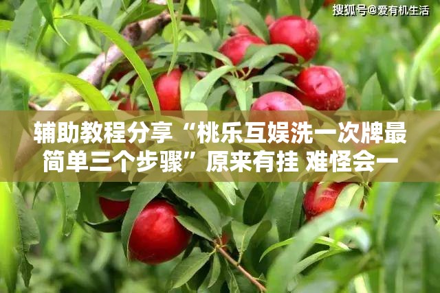辅助教程分享“桃乐互娱洗一次牌最简单三个步骤”原来有挂 难怪会一直输