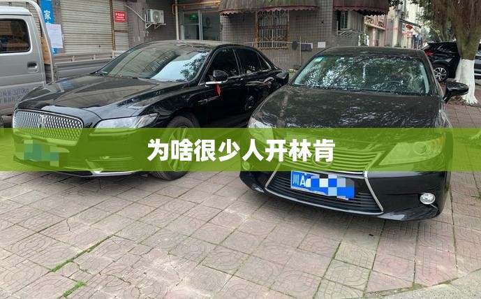 手机通话录音一般保存在哪里