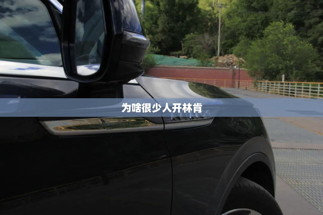 为啥很少人开林肯