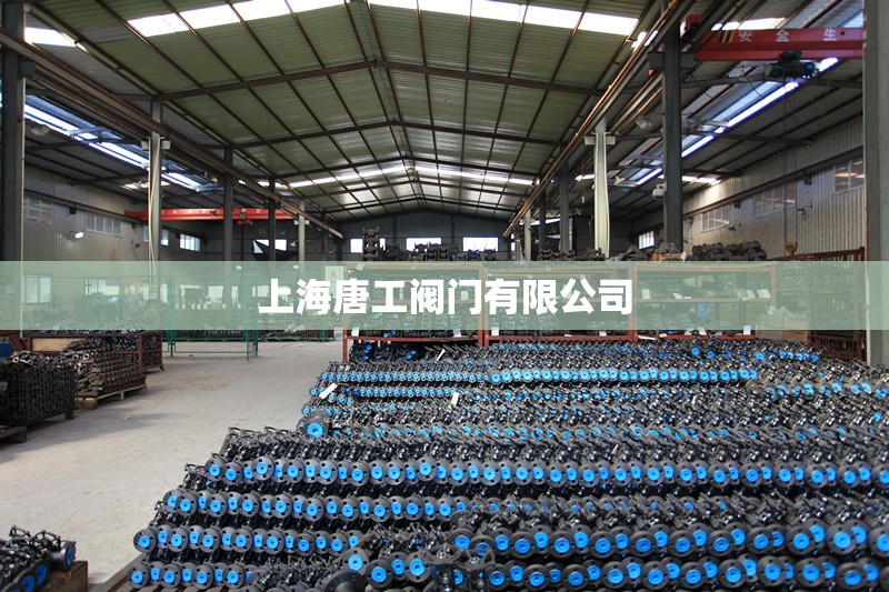 上海唐工阀门有限公司 上海唐工阀门有限公司