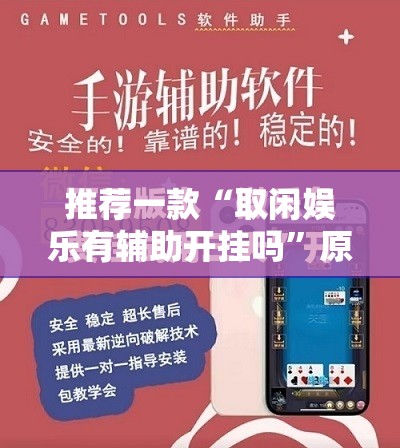 玩家辅助神器“大头大菠萝有挂嘛”详细辅助软件教程