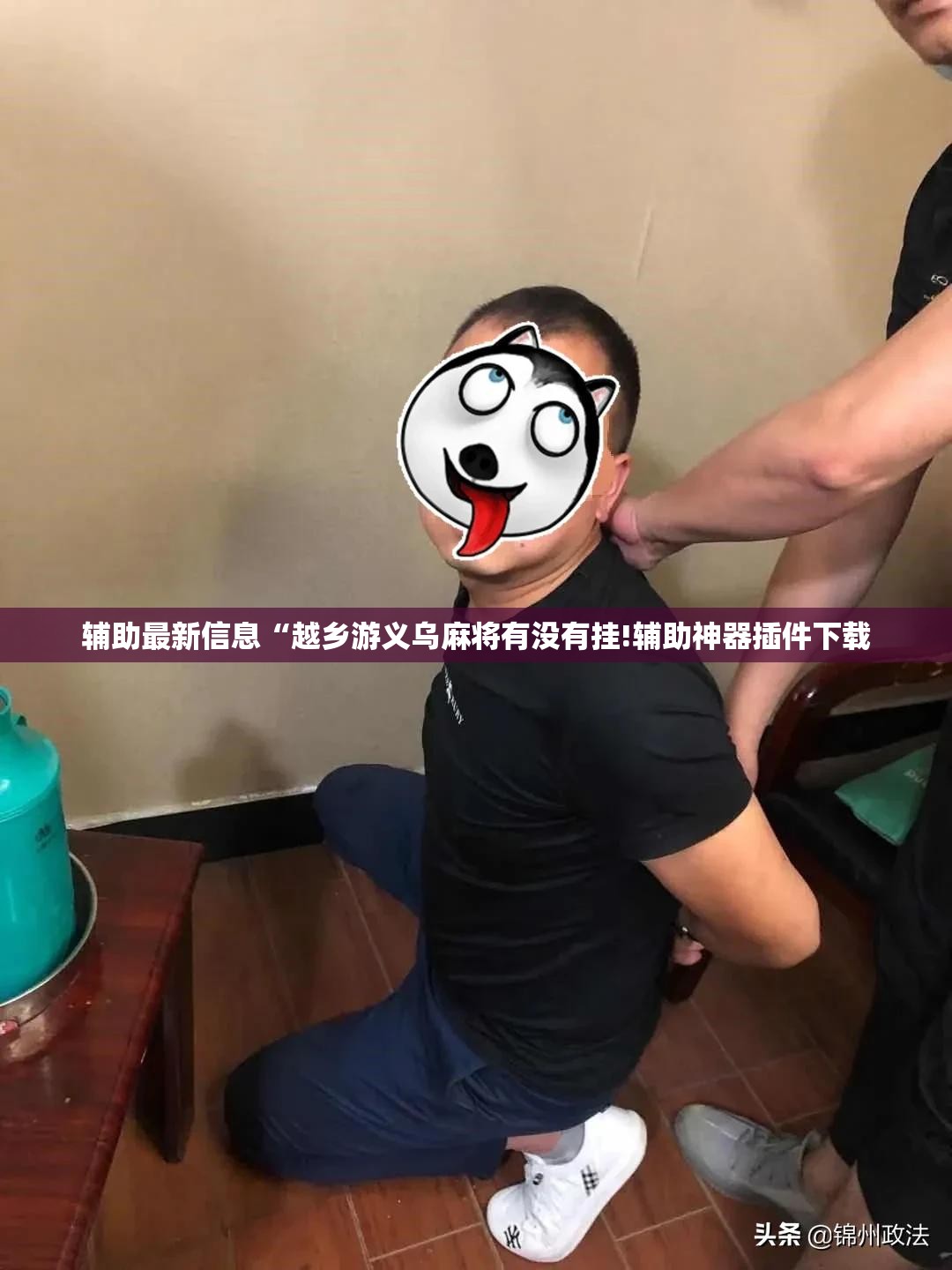 辅助最新信息“越乡游义乌麻将有没有挂!辅助神器插件下载