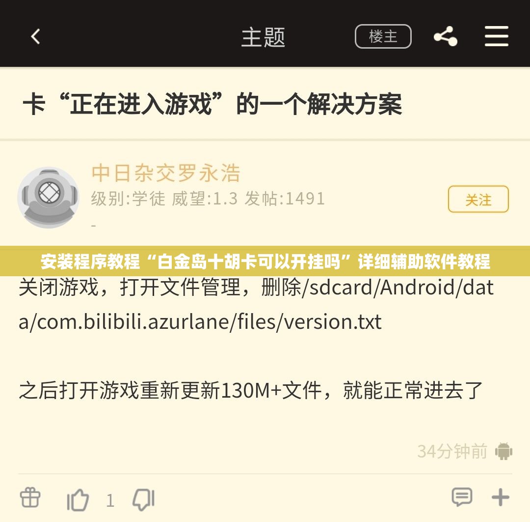 安装程序教程“白金岛十胡卡可以开挂吗	”详细辅助软件教程