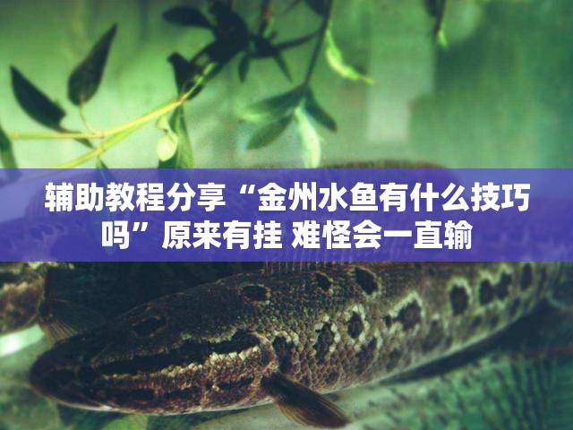 辅助教程分享“金州水鱼有什么技巧吗”原来有挂 难怪会一直输