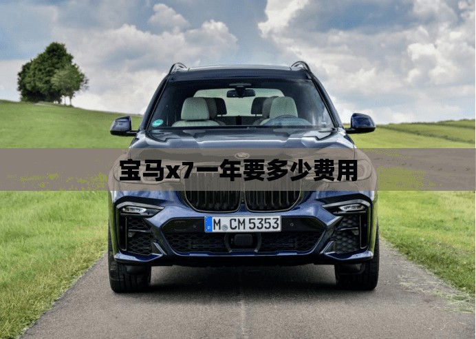 宝马x7一年要多少费用