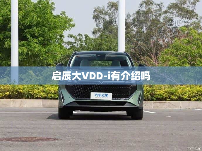 启辰大VDD-i有介绍吗