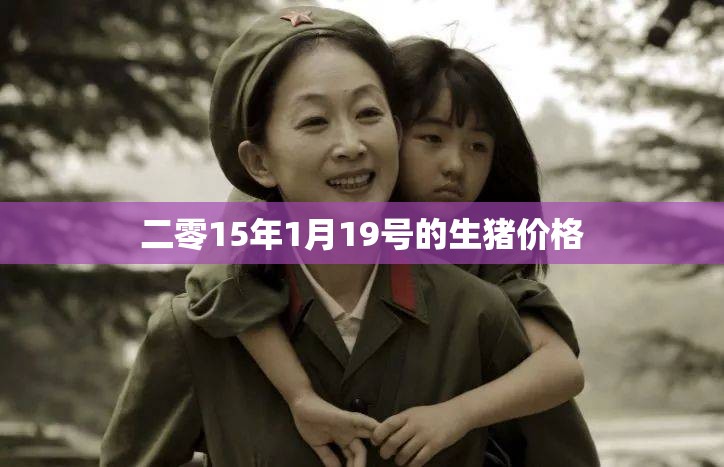 二零15年1月19号的生猪价格