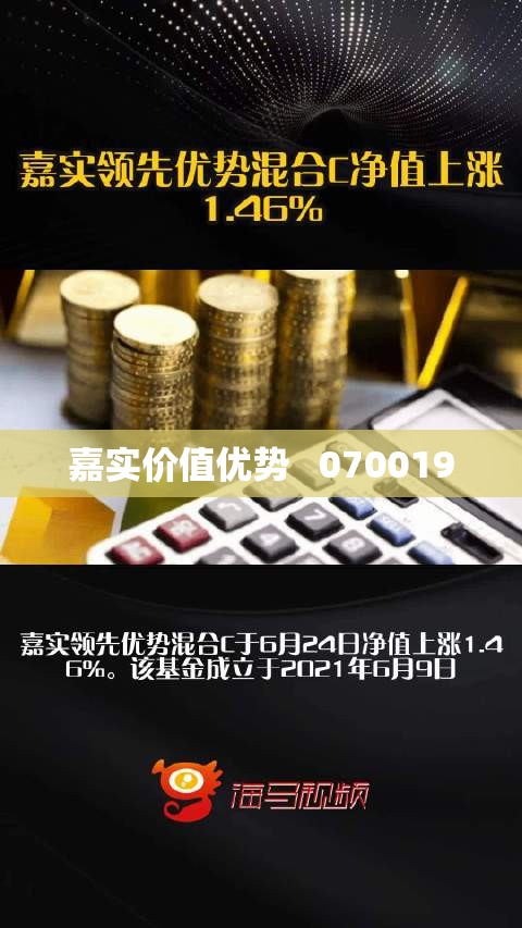 嘉实价值优势   070019