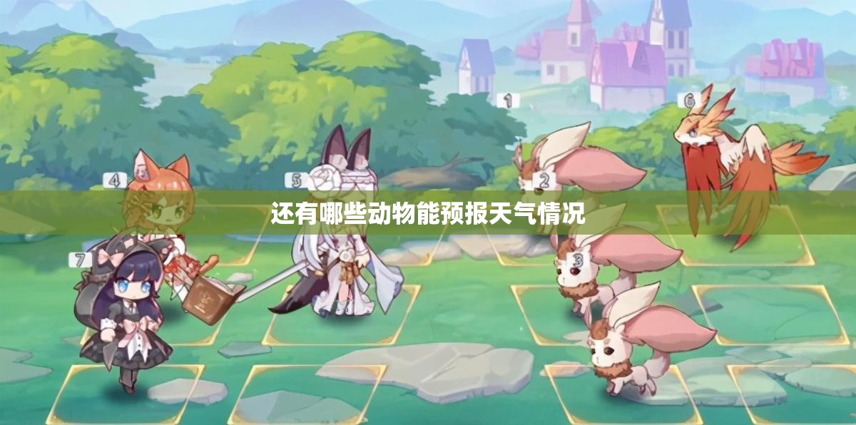嘉实价值优势   070019