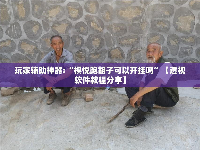 科普一下大懒人娱乐斗十四辅助器(辅助神器)开挂详细教程