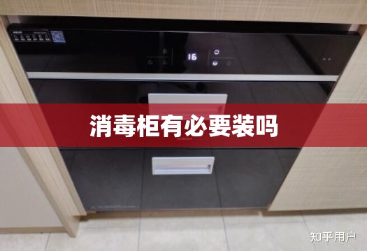 消毒柜有必要装吗