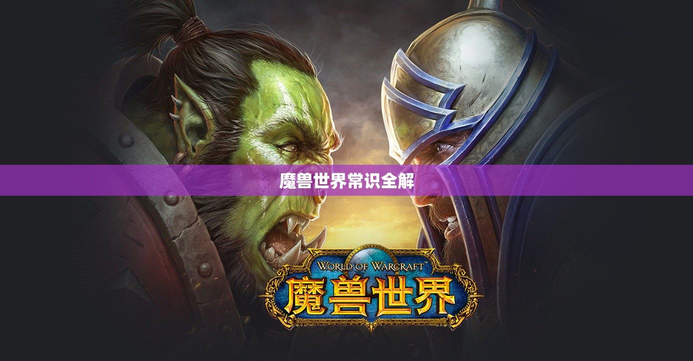 魔兽世界常识全解