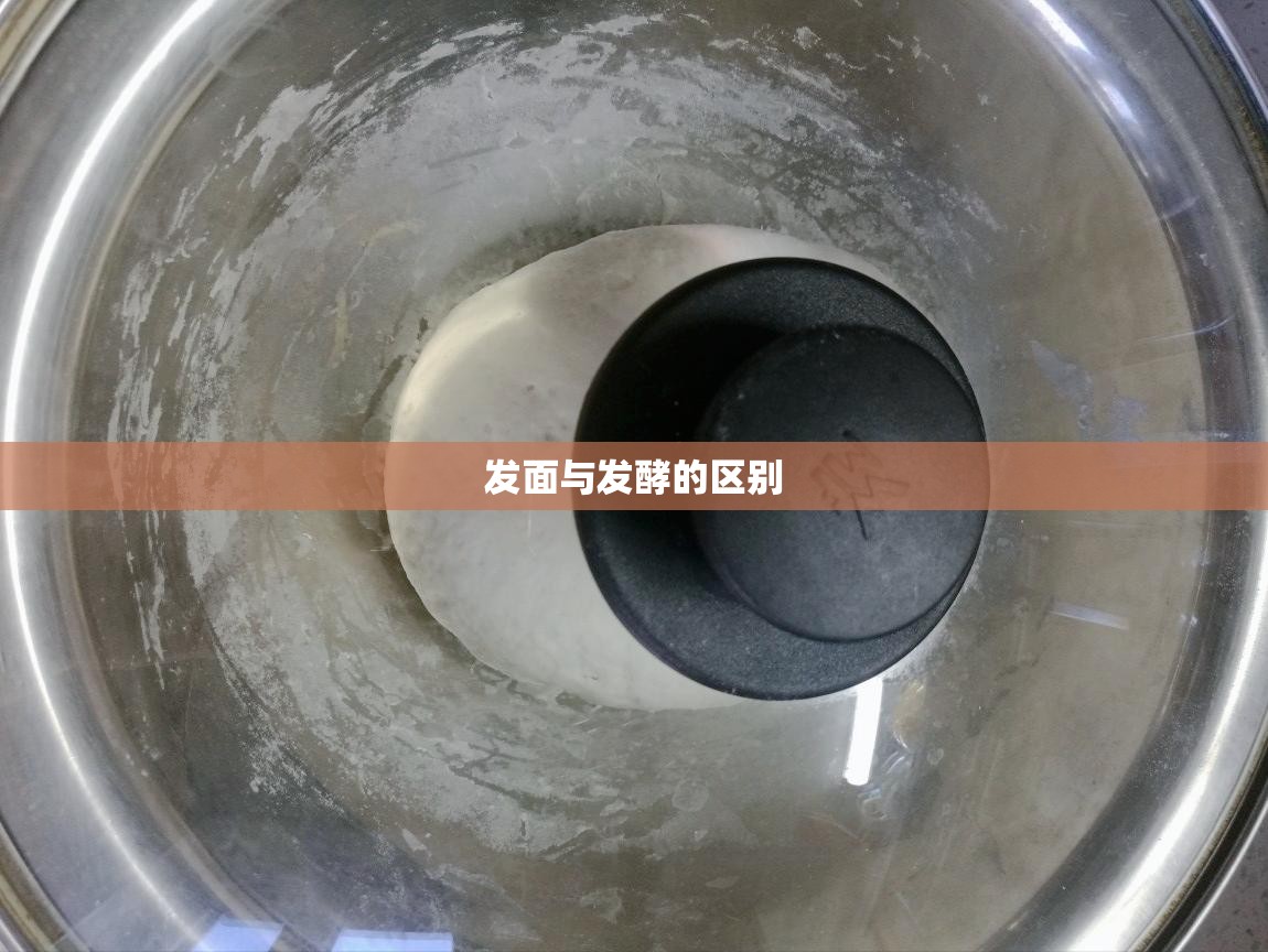 发面与发酵的区别