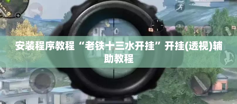 安装程序教程“老铁十三水开挂”开挂(透视)辅助教程