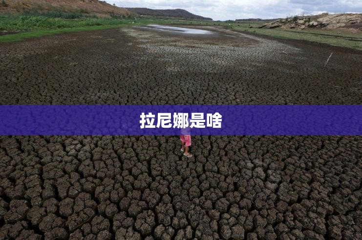 关于岗亭的知识有哪些？