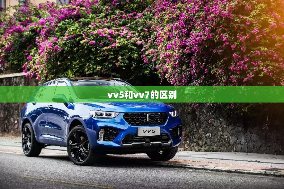 vv5和vv7的区别