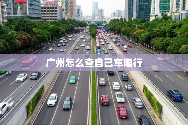 【法国2比1英格兰/法国队vs英格兰】