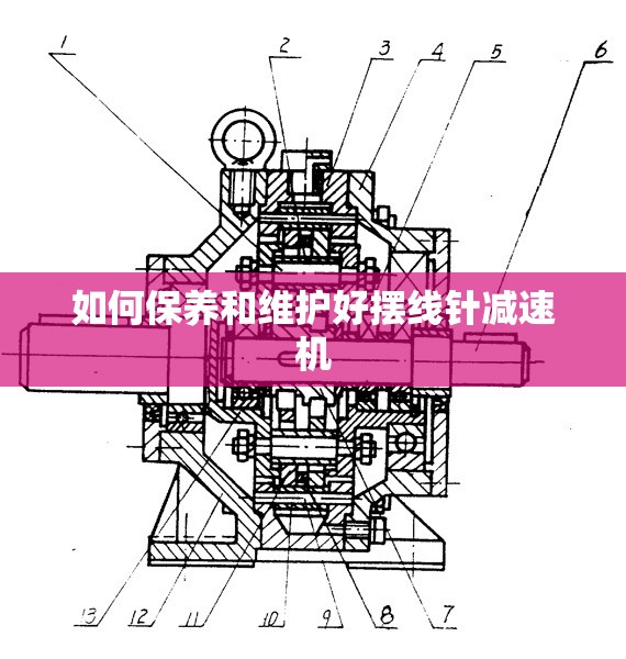 如何保养和维护好摆线针减速机