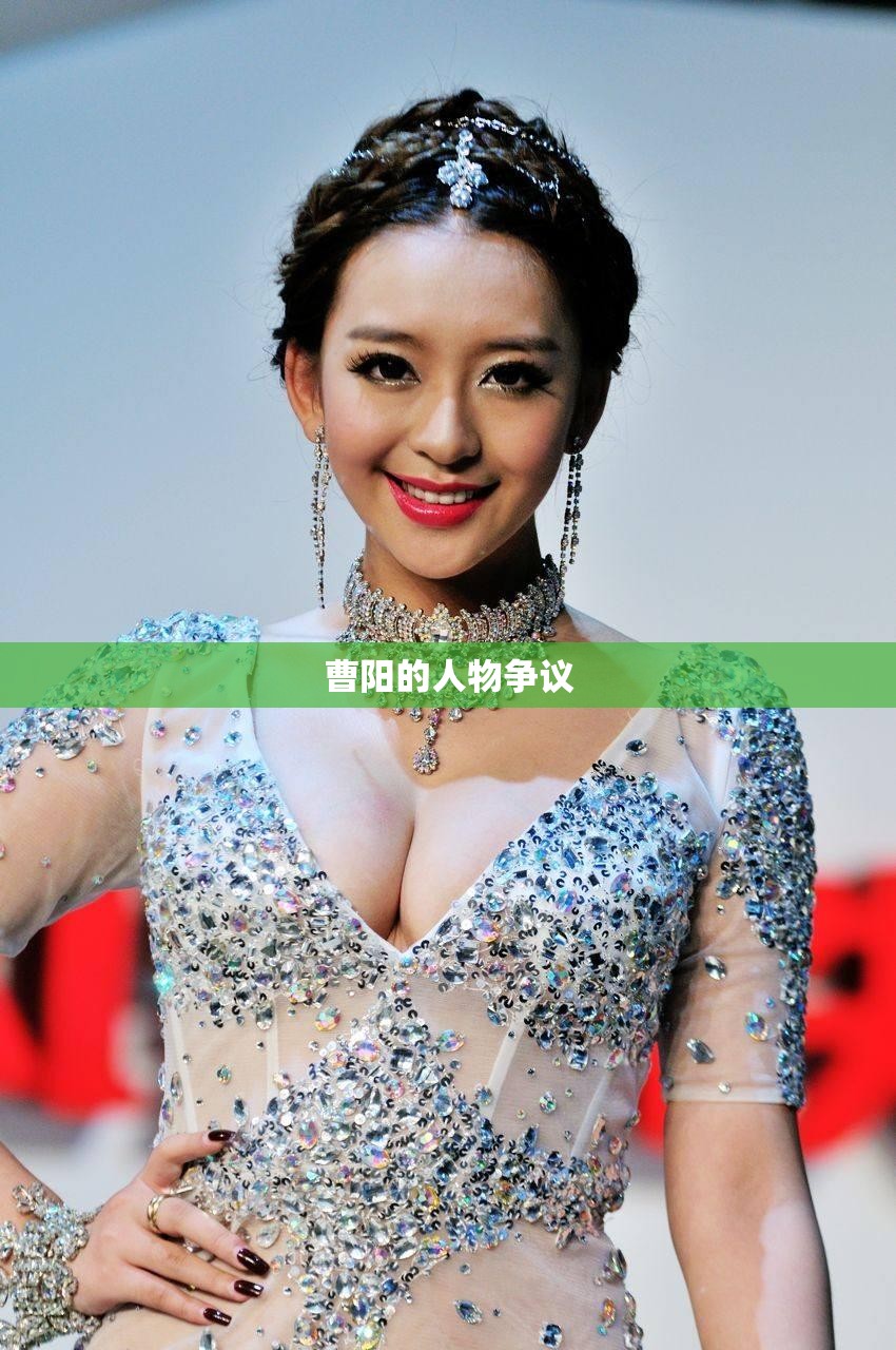 曹阳的人物争议