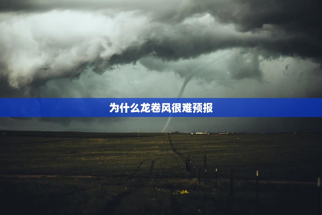 宝来传奇油耗多少真实油耗？
